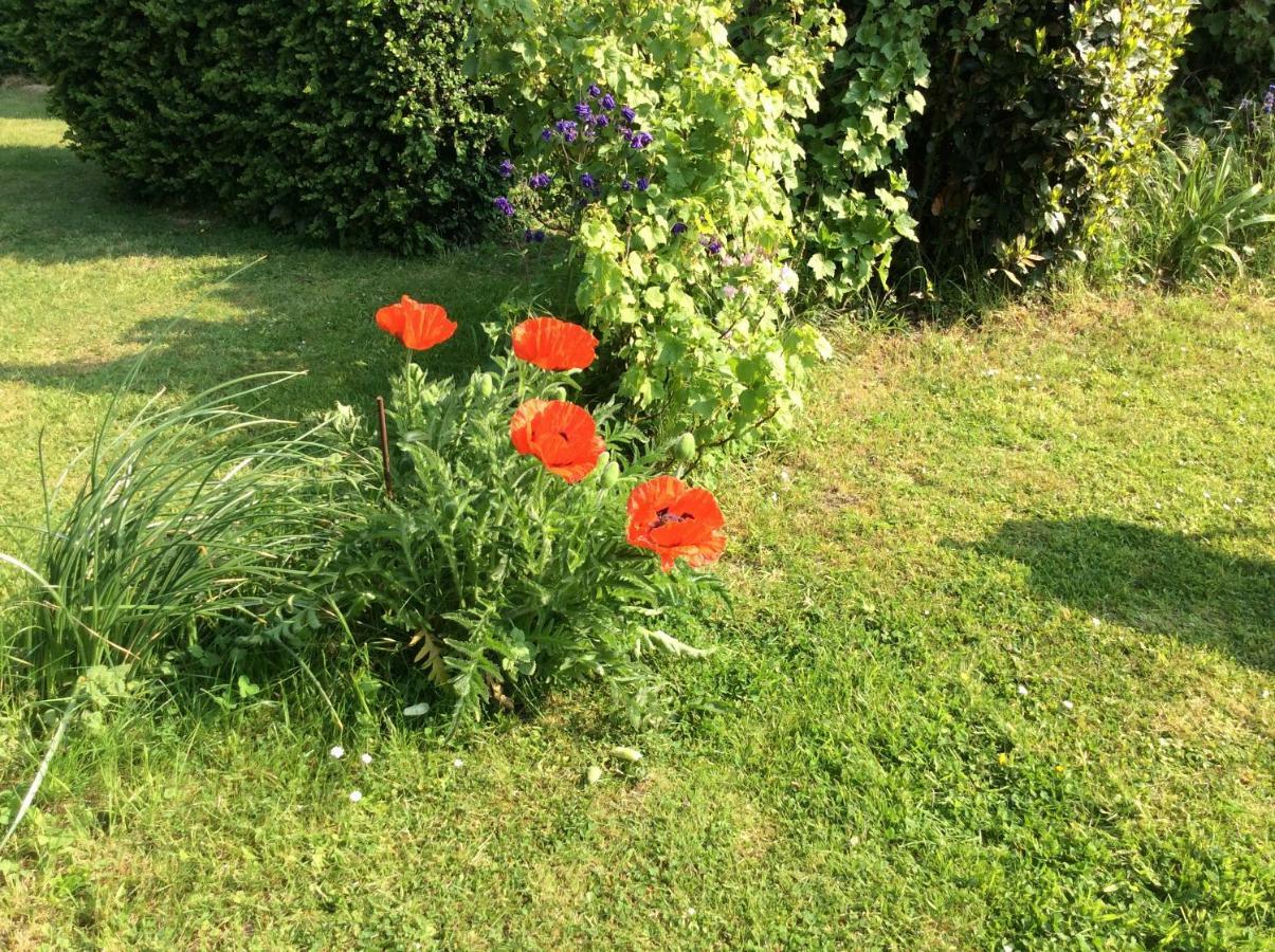 A La Campagne Hébergement de vacances